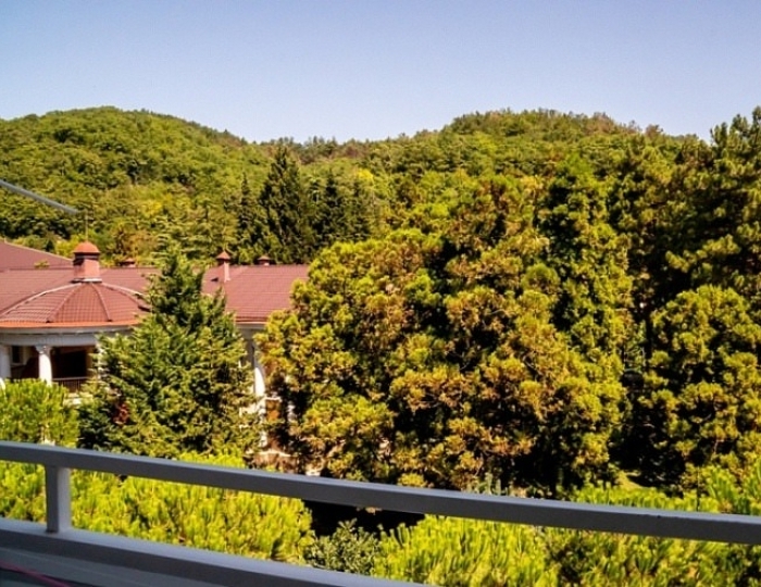 Стандарт с видом на парк (корп.1,2) - Парк-отель «Небуг»