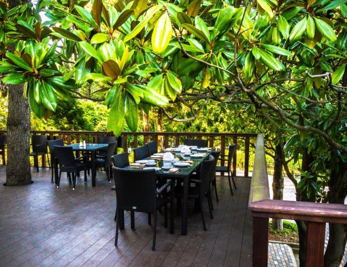 Столовая - Парк-отель «Небуг»