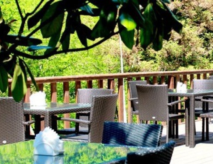 Кафе «Шале» - Парк-отель «Небуг»